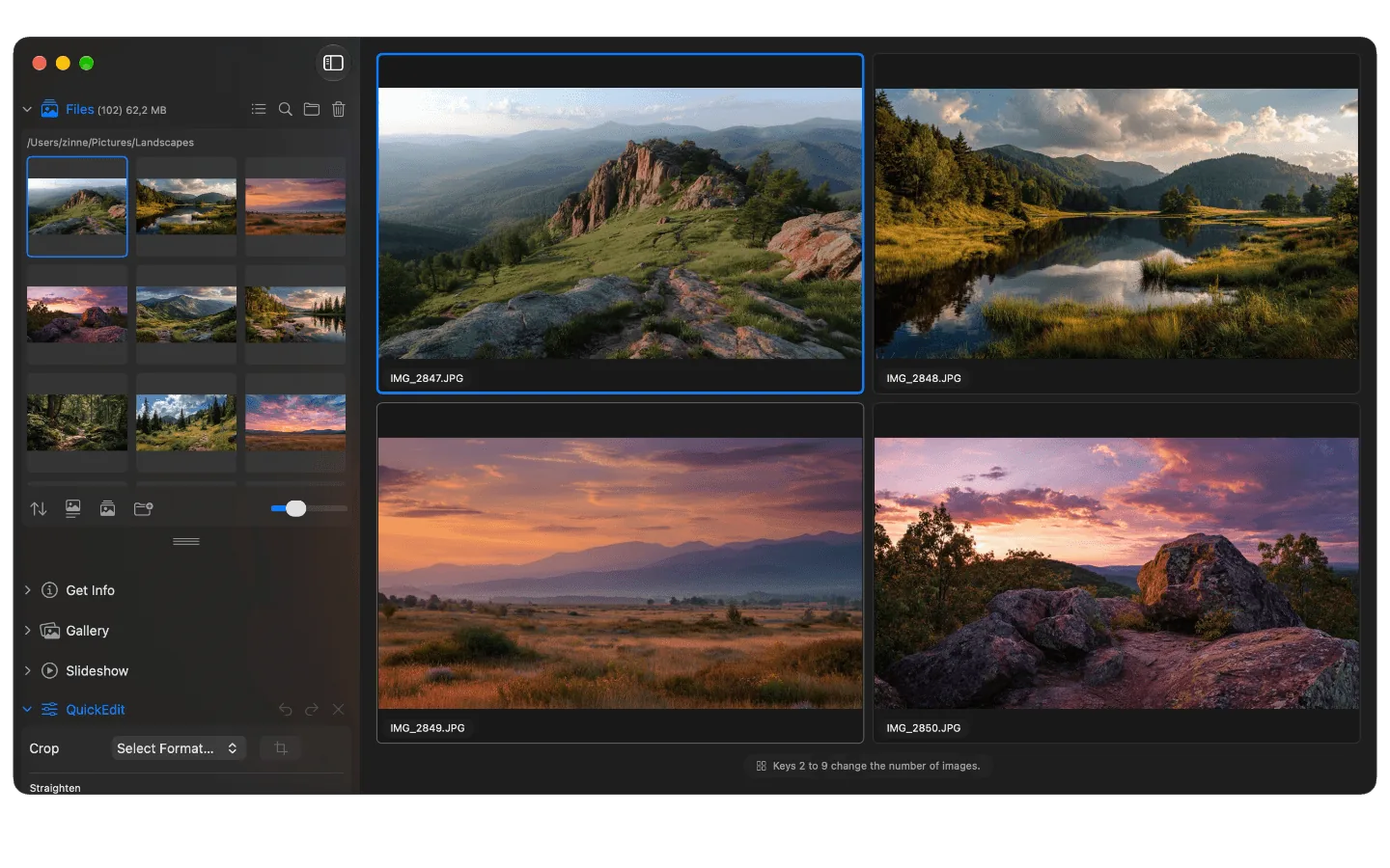 The compare view in Phiewer with four images side by side